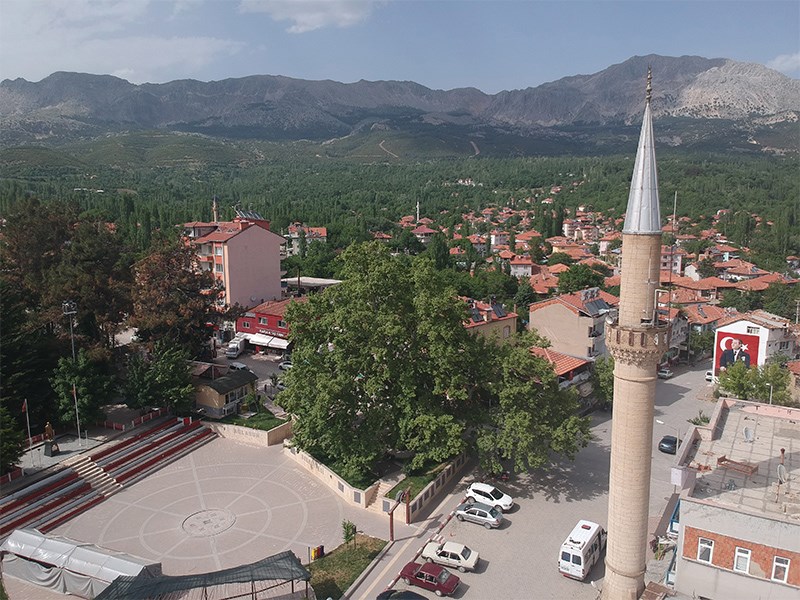 Tarihi Çınar ve Meydan